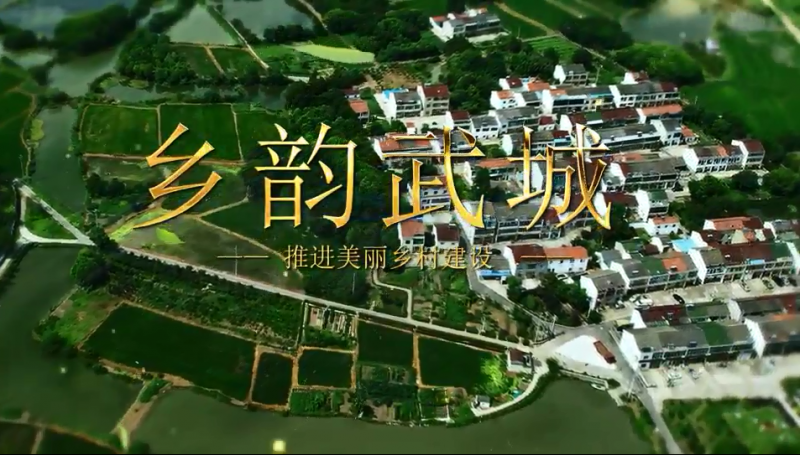 视频截图.png 视频截图.png