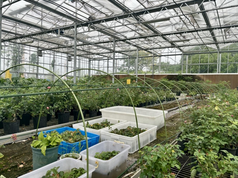 QQ截图20240621154643.jpg QQ截图20240621154643.jpg